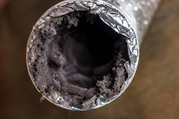 Best Ventilation Cleaning Services  in Westwood, CA